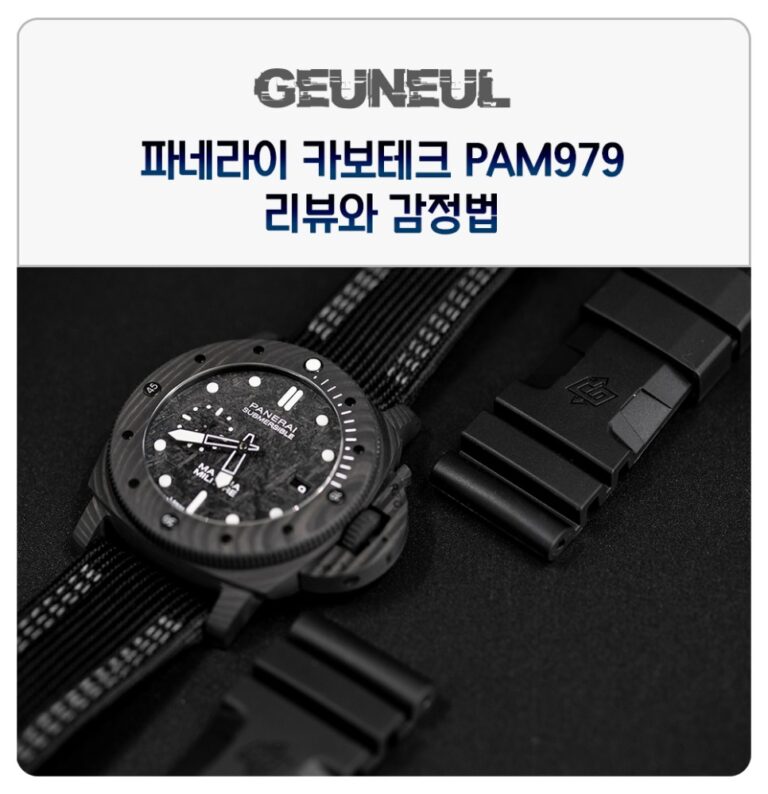 (2019. 8. 20) 가차없는 특수소재 폭격기, 파네라이 PAM979 감정방법 공개 이미지 1